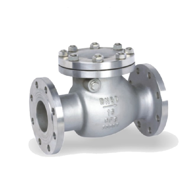 Stainless steel swing check valve